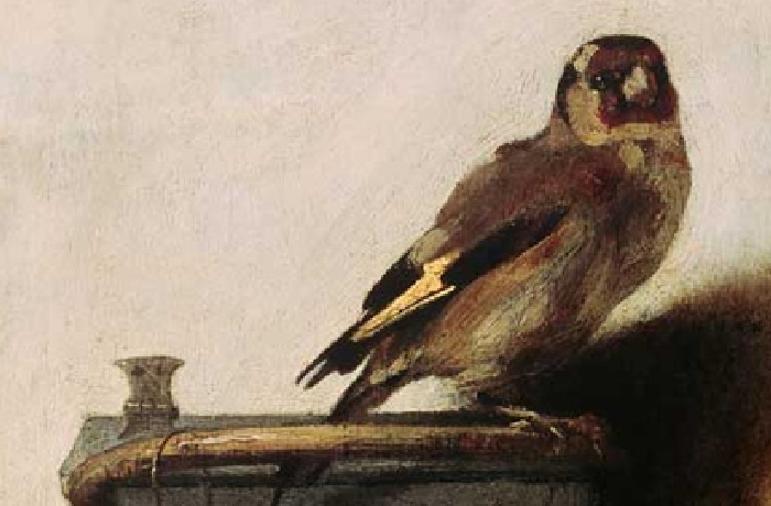 Sammlung von Vogelbildern sowie Vogelstudien berühmter Künstler.