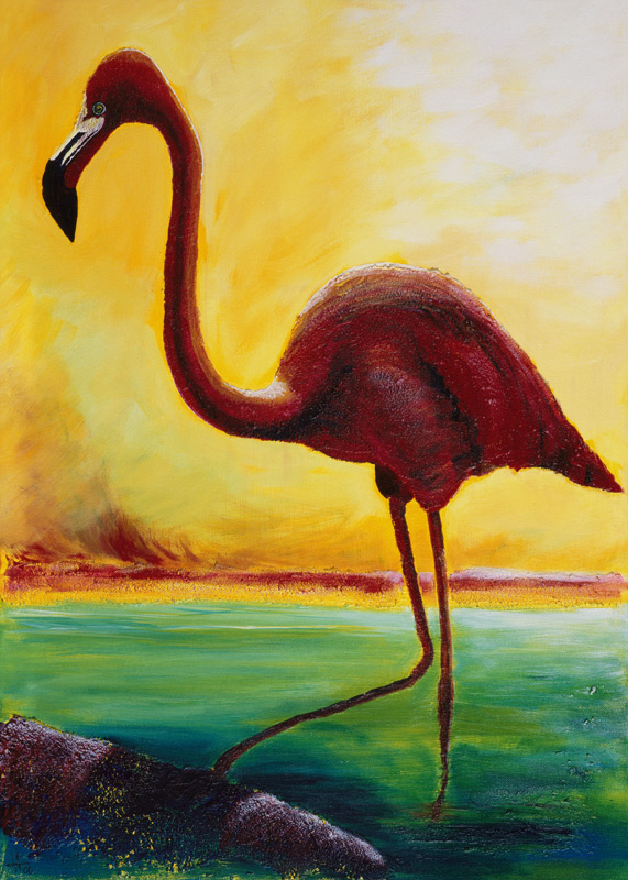 Flamingo von Arthelga