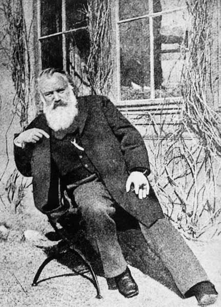Johannes Brahms, c.1897 von Austrian Photographer