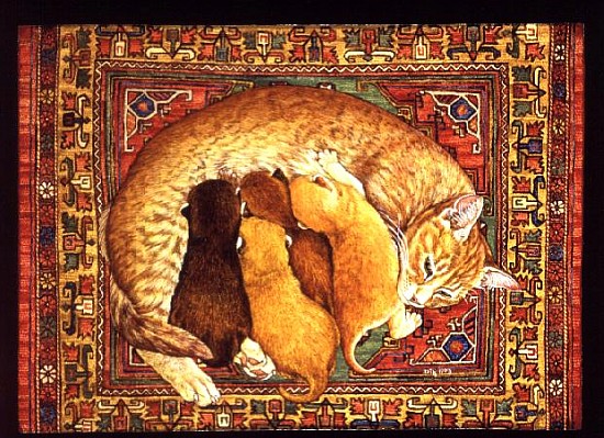 Carpet-Kittens  von Ditz
