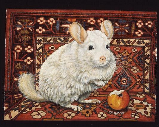 The Carpet-Chinchilla, 1992  von Ditz