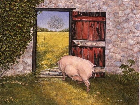 The Ware Farm Pig von Ditz