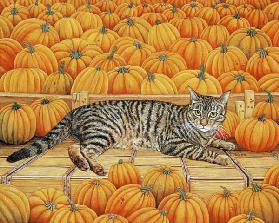 The Pumpkin-Cat, 1995 (acrylic on panel)  1995