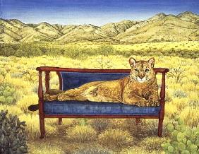 Millers'' Mountain-Lion 