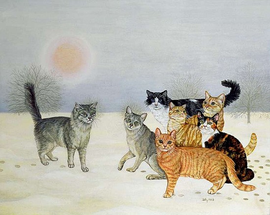 Winter-Cats  von Ditz
