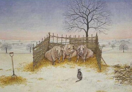 Winter Pigs  von Ditz