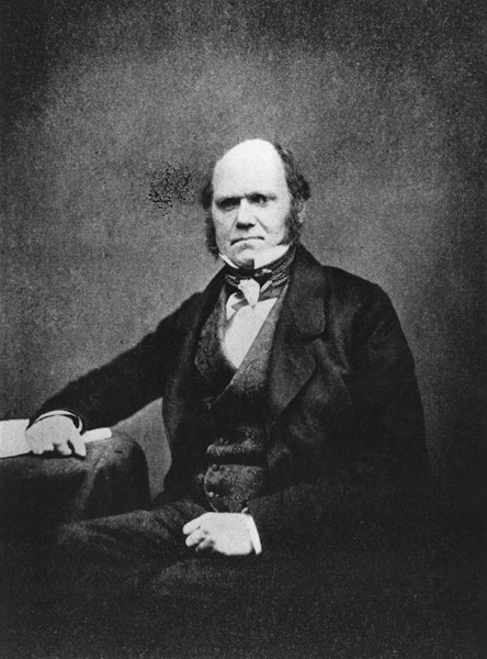 Portrait of Charles Darwin (1809-82) (b/w photo)  von French Photographer