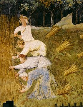 Harvesting wheat, detail