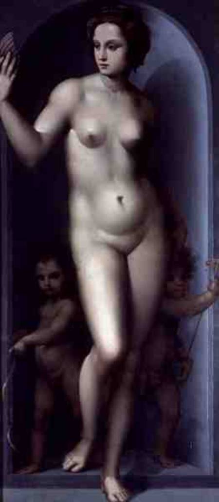 Venus Between Two Amores von A. Piccinelli