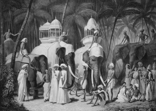 Elephants of the Raja of Travandrum, from 'Voyage in India' engraved by Louis Henri de Rudder (1807- von A. Soltykoff