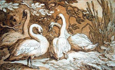 A Group of Swans von Abraham Bloemaert