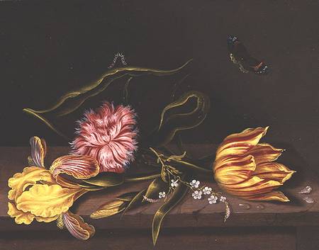 Still Life of Flowers on a Table von Abraham Bosschaert