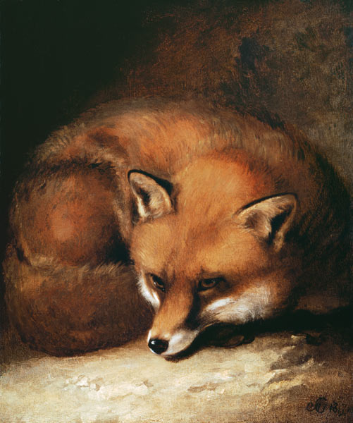 Ein Fuchs von Abraham Cooper