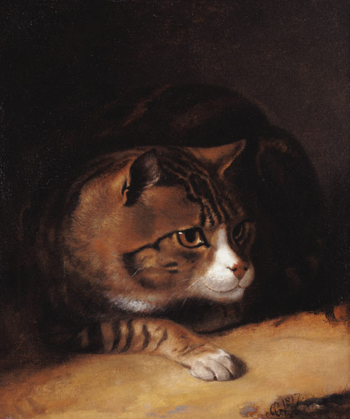 A Tabby Cat von Abraham Cooper