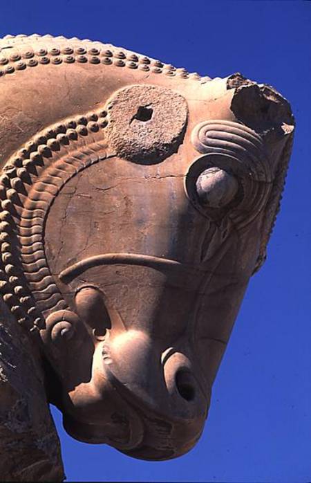 Bull's head on the northern portico of the Throne Hall of Xerxes von Achaemenid