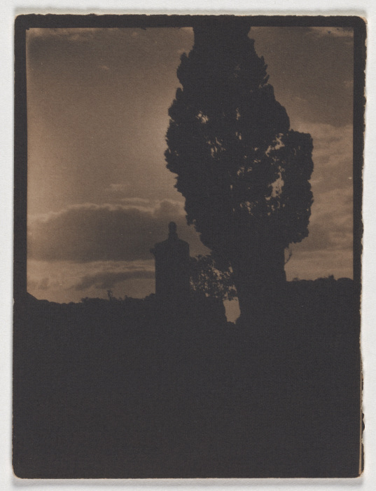 Silhouette von Baum und Turm im Abendhimmel von Adolf DeMeyer
