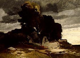 Sturm. 1878