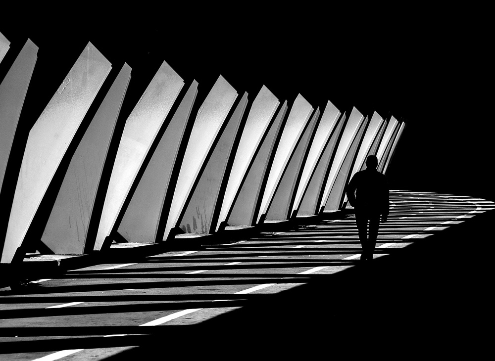 Zwischen Licht und Schatten von Adolfo Urrutia