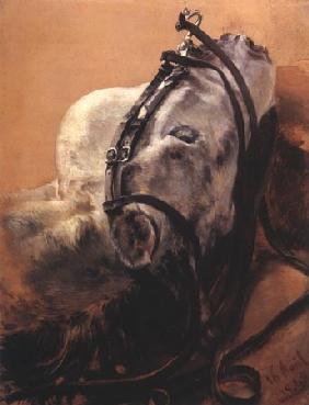 Tête de cheval couchée, bidée 1848