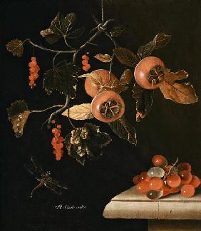 Still Life of Medlars, Redcurrants, Grapes and a Dragonfly 1686