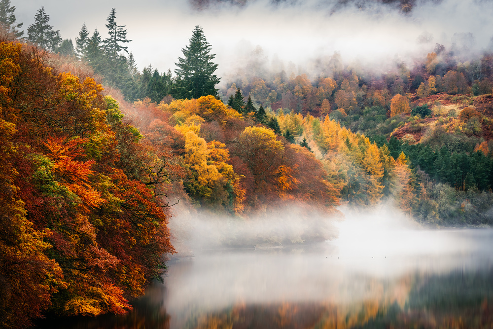 Faszinierender Herbst von Adrian Popan
