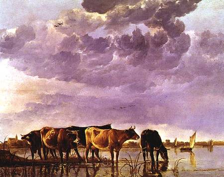 Cows in the Water von Aelbert Cuyp