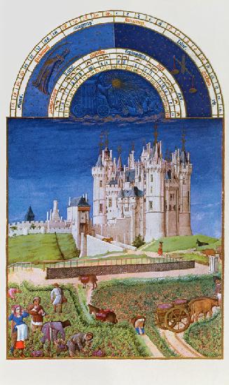 Fascimile of September: harvesting grapes the Limbourg brothers, from the ''Tres Riches Heures du Du