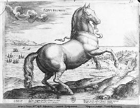 Equus Hispanus