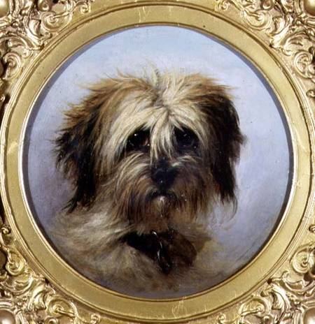 A Head of a Terrier (board) von Agnes Dundas