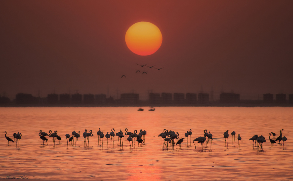 Bemerkenswerter Sonnenuntergang von Ahmed Thabet