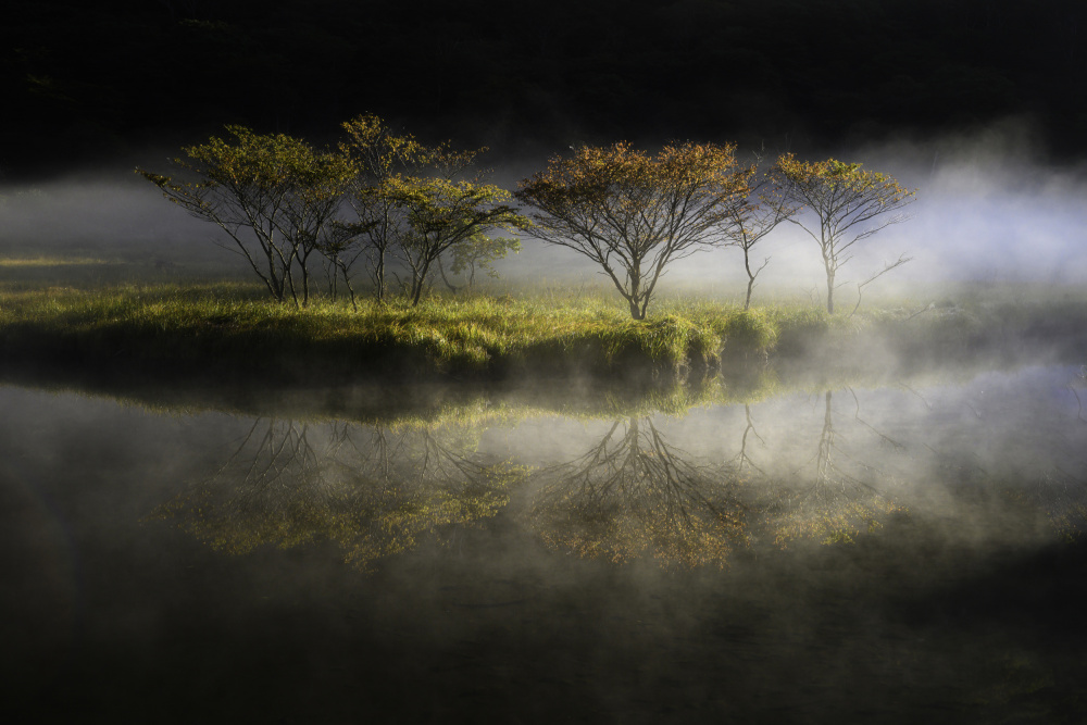 im Nebel schweben von Akira Nagase
