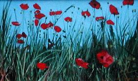 Poppies, 2002 (oil on canvas) 