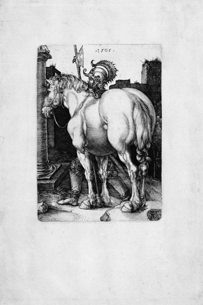 Das große Pferd von Albrecht Dürer