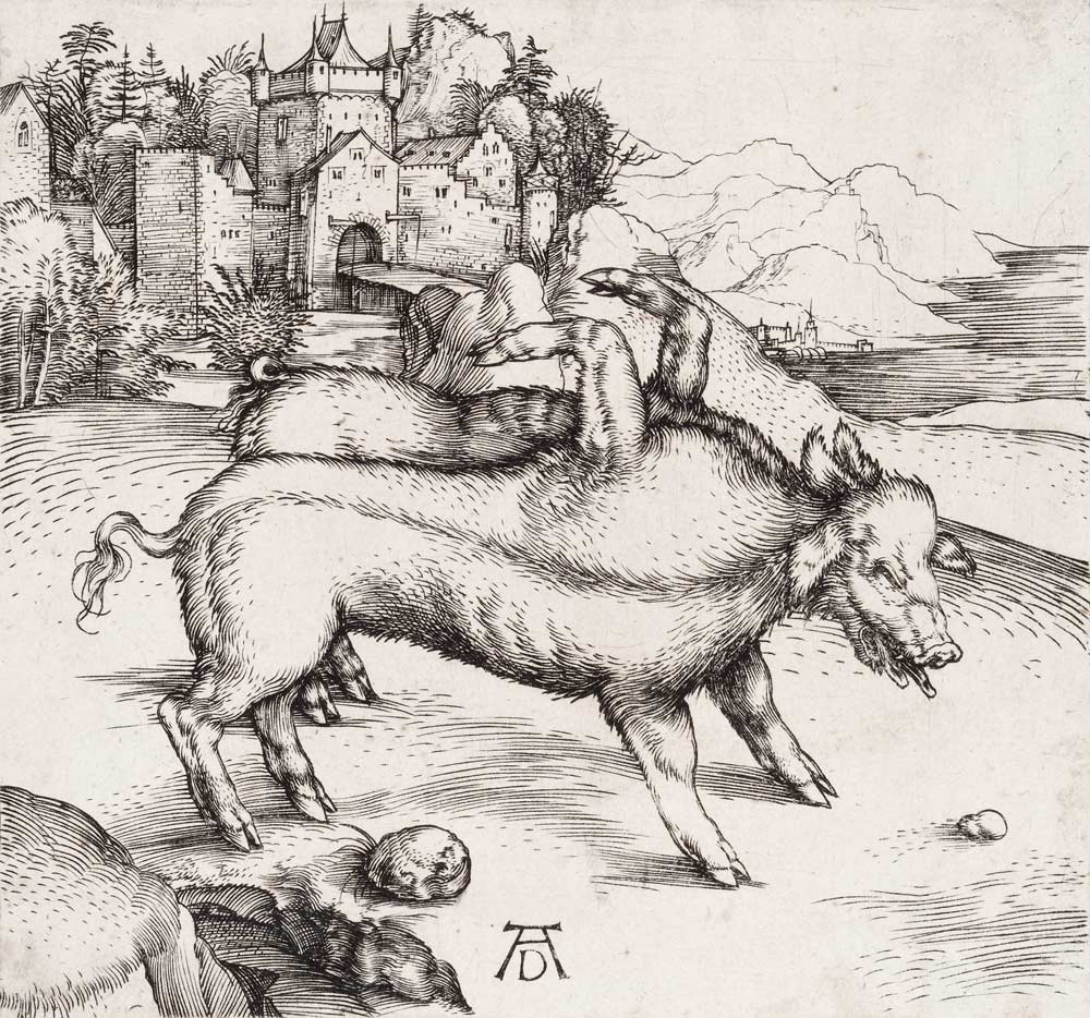 Die Missgeburt eines Schweins (Die wunderbare Sau von Landser) von Albrecht Dürer