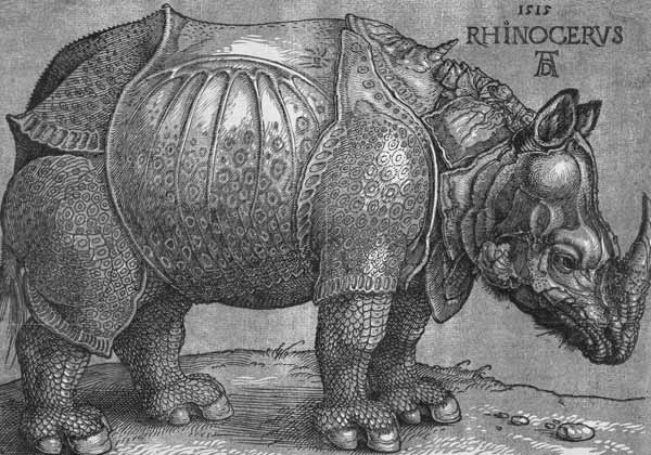 Rhinocerus von Albrecht Dürer