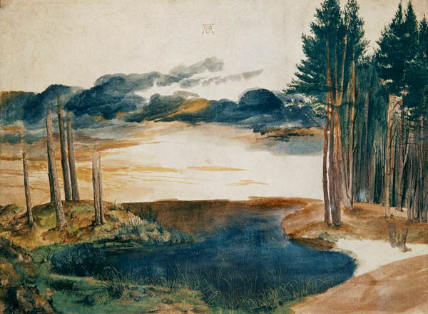Ein Teich im Wald von Albrecht Dürer