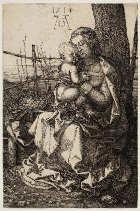 Virgin and Child Seated by a Tree 1513