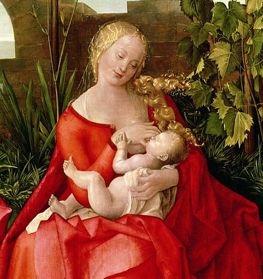 Virgin and Child ''Madonna with the Iris'', 1508 (detail of 22578) von Albrecht Dürer
