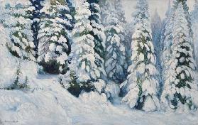 Wintermärchen (verschneite Tannen) 1902
