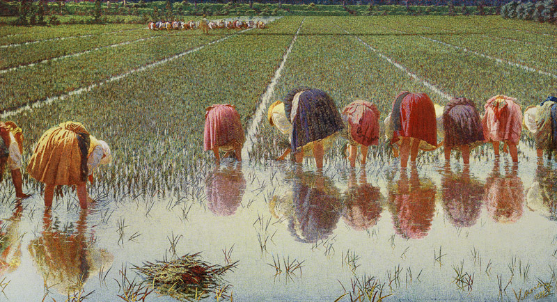 Für achtzig Cents (Arbeit im Reisfeld) von Alessandro Morbelli