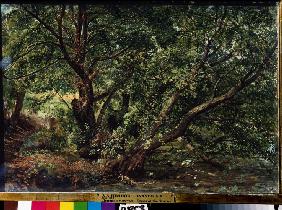 Bäume am Bach 1837