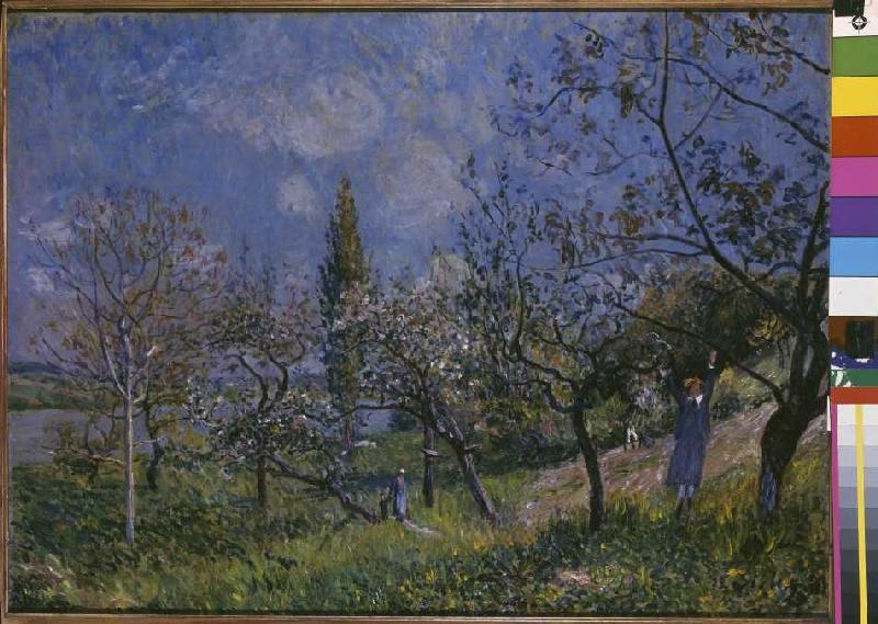 Der Baumgarten von Alfred Sisley