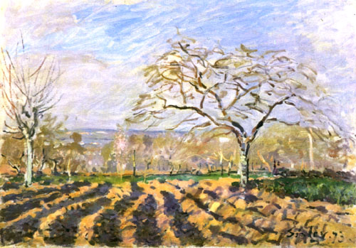 Felder oder Furchen von Alfred Sisley