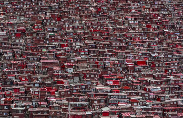 Red houses von Ali Al-Jazeri
