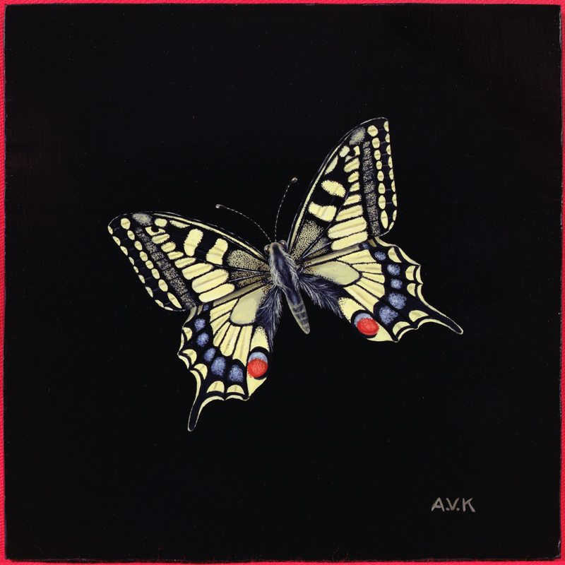 Swallowtail butterfly von  Amelia  Kleiser