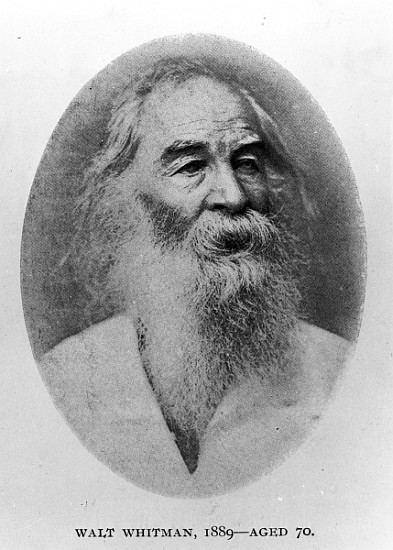 Walt Whitman, photographed in 1889 von American Photographer