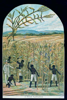 Cutting cane on a sugar plantation in America's Deep South (colour litho) von American School