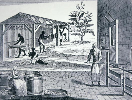 The cultivation of tobacco in Colonial America (engraving) von American School