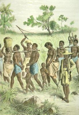 Africans captured for the slave trade (colour litho) 20th