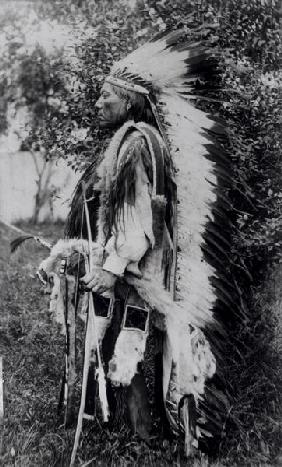 White Wolf, a Comanche Chief, c.1891-98 (b/w photo) 